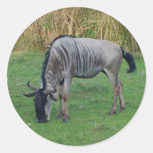 Blauwe Wildebeest #1 Sticker (Voorkant)