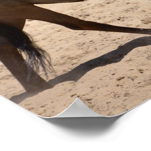 Blauwe wildebeest poster (Hoek)