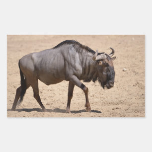Blauwe wildebeest rechthoekige sticker