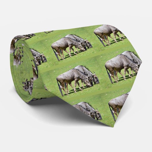 Blauwe wildebeest stropdas (Opgerold)