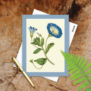 Blauwe Winde Illustratie Briefkaart