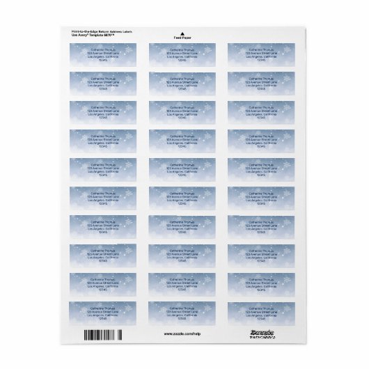 Blauwe Winter Wonderland Sneeuwval Kerstmis bruilo Etiket (Full Sheet)