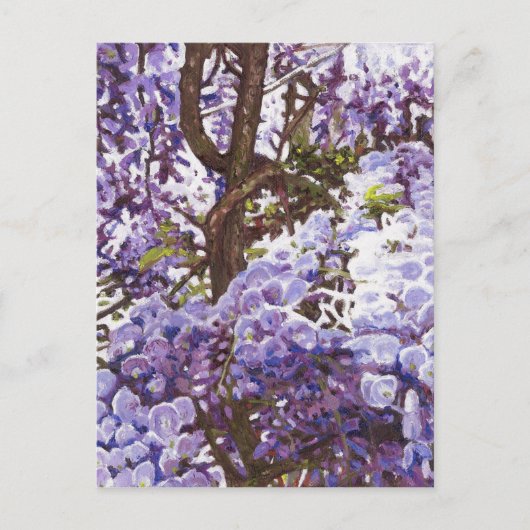 Blauwe wisteria 2011 briefkaart (Voorkant)