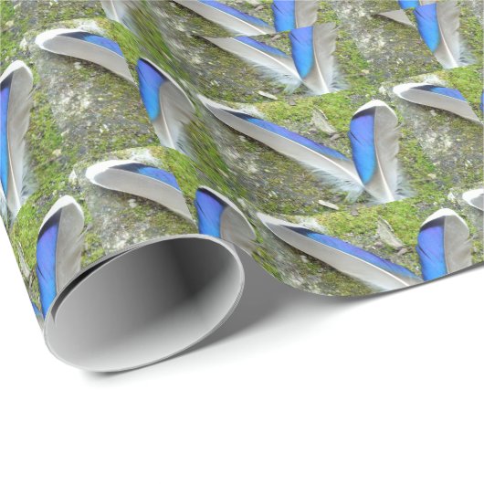 Blauwe witte duck Feathers, Animal, Bird Cadeaupapier (Rol Hoek)