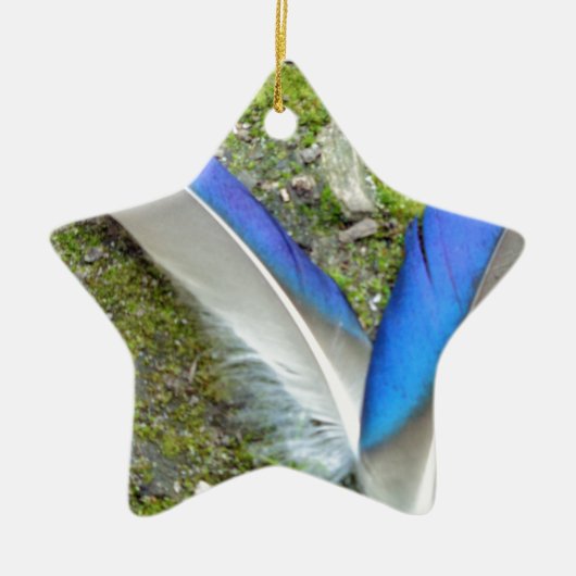 Blauwe witte duck Feathers, Animal, Bird Keramisch Ornament (Voorkant)