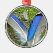 Blauwe witte duck Feathers, Animal, Bird Metalen Ornament (Voorkant)