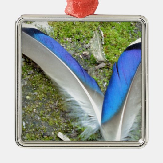Blauwe witte duck Feathers, Animal, Bird Metalen Ornament (Voorkant)