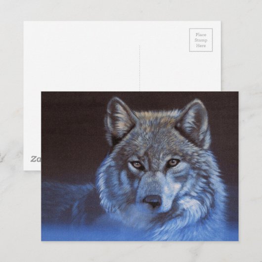 Blauwe Wolf Briefkaart (Voorkant / Achterkant)