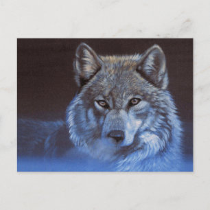 Blauwe Wolf Briefkaart