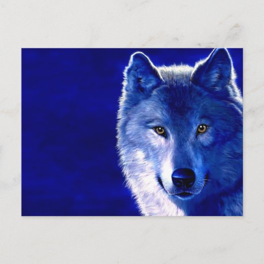 Blauwe Wolf Briefkaart (Voorkant)