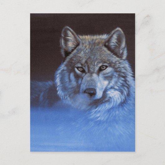 Blauwe Wolf Briefkaart (Voorkant)