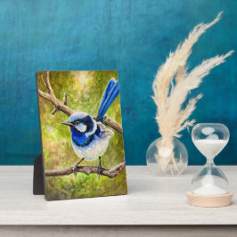 Blauwe Wren - Fotoplaat
