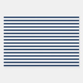 Blauwe zee Nautical Anchor Stripes Zee Life Inpakpapier Vel (Voorkant 2)