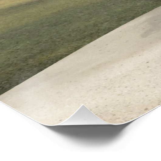 Blauwe Zeemeermin Perfect Poster (Hoek)