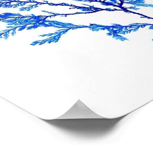 Blauwe zeewier Afdruk nr. 3 Kustbotanische afdruk. Poster (Hoek)