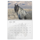 Blauwe zeus: hart van de rode woestijn kalender (Mar 2027)