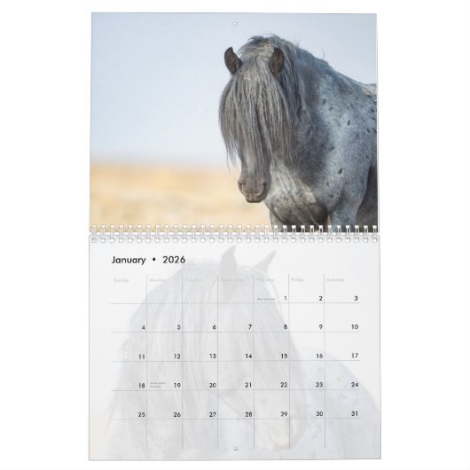 Blauwe zeus: hart van de rode woestijn kalender (Jan 2026)