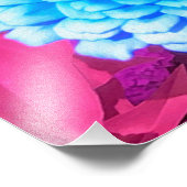 Blauwe Zinnia in de Paarse zomertuin Foto Afdruk (Hoek)