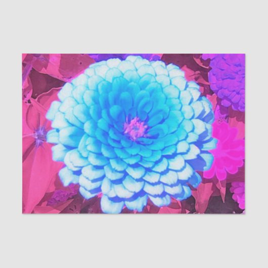  Blauwe Zinnia in de Paarse zomertuin Tissuepapier (Voorkant)