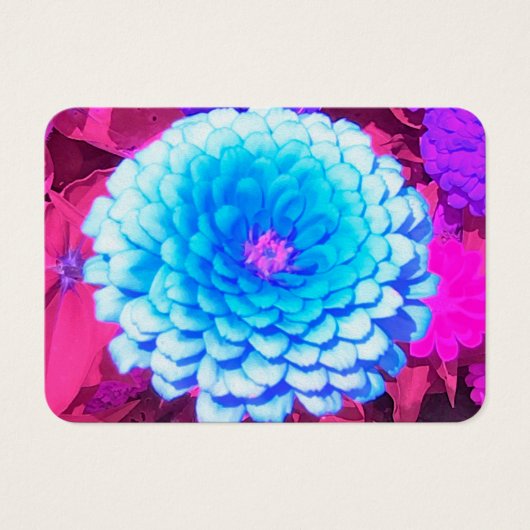 Blauwe Zinnia in de Paarse zomertuin Visitekaartje (Voorkant)