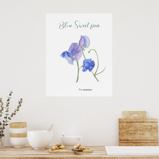 Blauwe zoete bloemen botanische waterverf poster (Keuken)