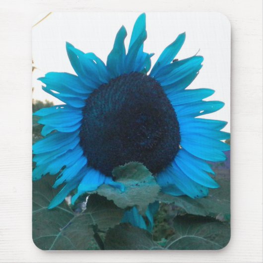 Blauwe zonnebloem 2 Muismat (Voorkant)