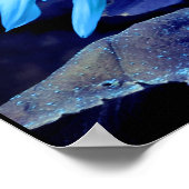 Blauwe zonnebloem, blauwe maisachtig, blauwe bloem poster (Hoek)