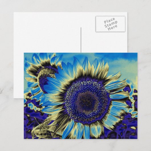 Blauwe zonnebloem briefkaart (Voorkant / Achterkant)