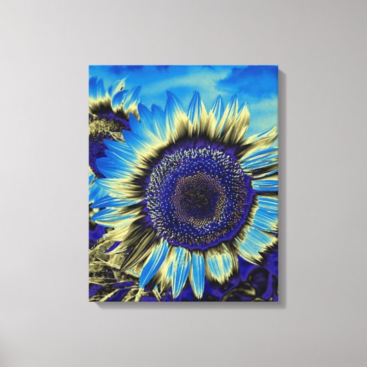 Blauwe zonnebloem canvas afdruk (Voorkant)