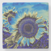 Blauwe zonnebloem stenen onderzetter (Voorkant)