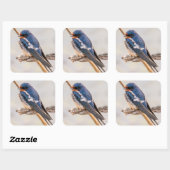 Blauwe Zwaluww op Tak Vierkante Sticker (Vel)