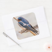 Blauwe Zwaluww op Tak Vierkante Sticker (Envelop)