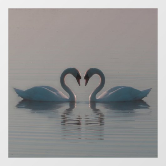 Blauwe zwanen moeten liefde zijn raamsticker (Vel)