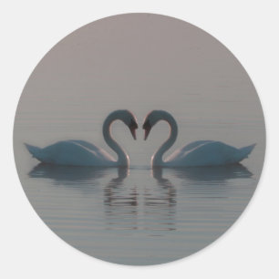 Blauwe zwanen moeten liefde zijn ronde sticker
