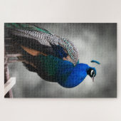 Blauwe zwarte en witte pauw 1014 stuks volwassen legpuzzel (Horizontaal)