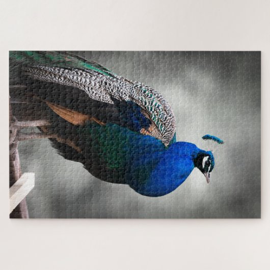 Blauwe zwarte en witte pauw 1014 stuks volwassen legpuzzel (Horizontaal)