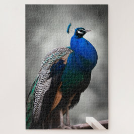 Blauwe zwarte en witte pauw 1014 stuks volwassen legpuzzel