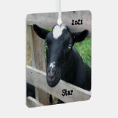 Blauwe zwarte Nigeriaan Dwarf Dairy Goat Metalen Ornament (Voorkant Rechts)