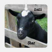 Blauwe zwarte Nigeriaan Dwarf Dairy Goat Metalen Ornament (Achterkant)