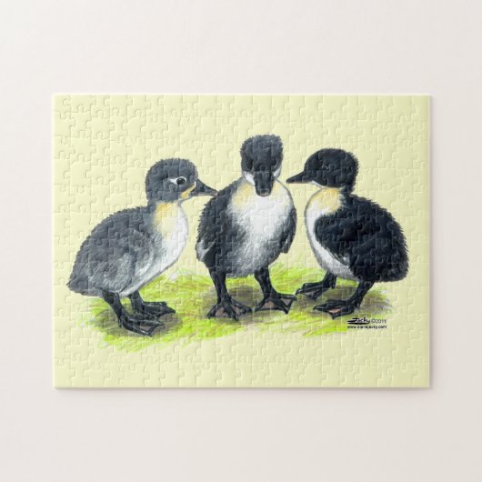 Blauwe Zweedse Eendjes Legpuzzel (Horizontaal)