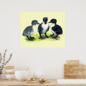 Blauwe Zweedse Eendjes Poster (Keuken)