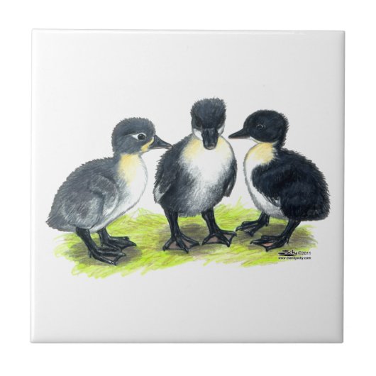 Blauwe Zweedse Eendjes Tegeltje (Voorkant)