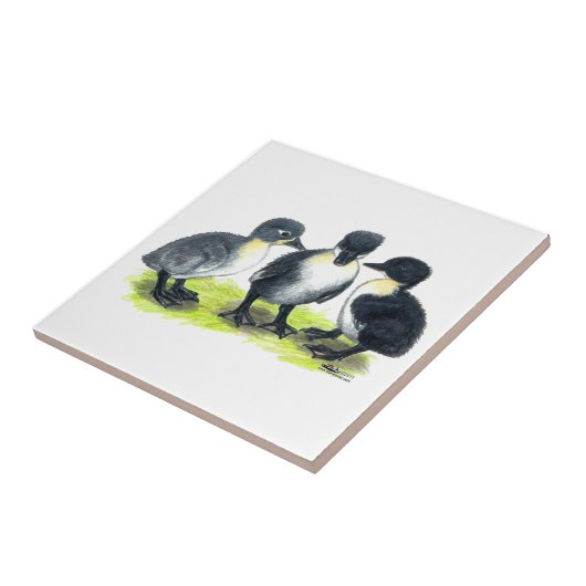 Blauwe Zweedse kuipen Tegeltje (Zijkant)