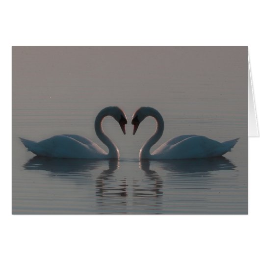 Blauwe zwemmen moeten verlicht zijn. (Voorkant Horizontaal)