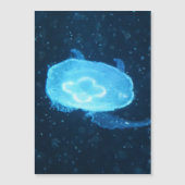 Blauwe Zwemmende Kwallen (Voorkant)