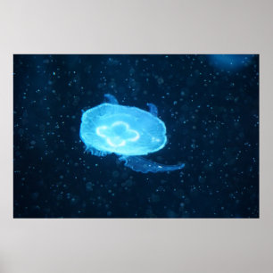 Blauwe Zwemmende Kwallen Poster