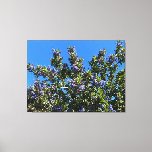 Blauwen Canvas Afdruk (Voorkant)