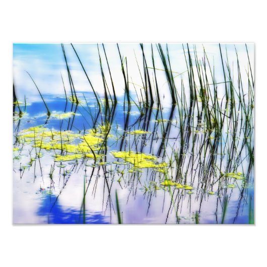 Blauwen en gras foto afdruk (Voorkant)