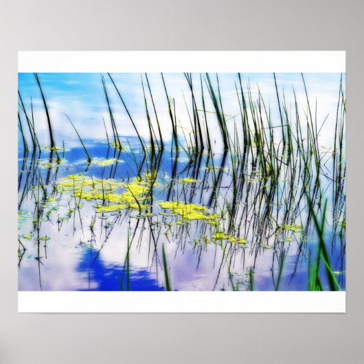 Blauwen en gras poster (Voorkant)