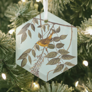 Blauwgeige geelzuchtige vogel op Wisteria Glas Ornament